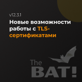 Поддержка TLS 1.3 и улучшенные функции безопасности в The Bat! v12.3.1